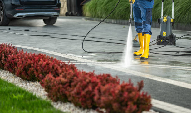 Animal Enclosure Cleaning in Luther, OK